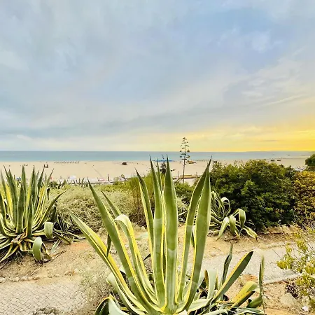 Sublimar - Beachfront - Tv Terrace - Nightlife Apartment *
